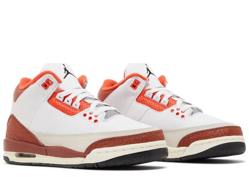 Jordan 3 Retro SE Dunk on Mars (GS)