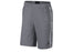 Jordan Carbon Heather Sweatshorts