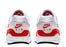 Nike Air Max 1 Anniversary Red (2017/2018 Restock Pair)