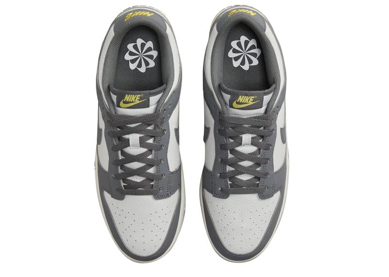 Nike Dunk Low Next Nature Iron Grey Lightning