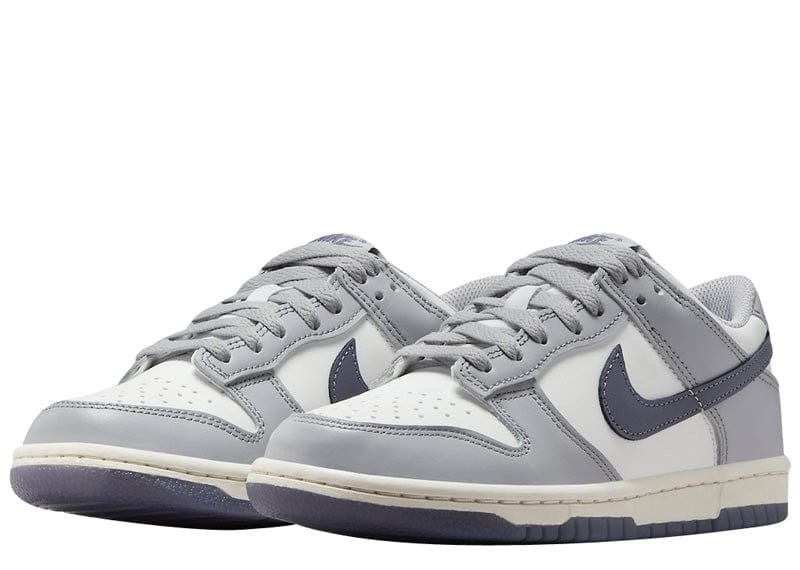 Nike Dunk Low Platinum Tint Light Carbon (GS)