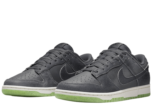 Nike Dunk Low Swoosh Shadow Iron Grey (GS)