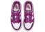 Nike Dunk Low Viotech (PS)