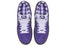 Nike SB Dunk Low Concepts Purple Lobster