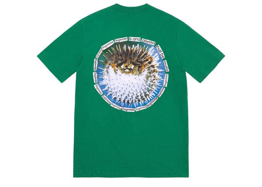 Supreme Blowfish Tee Light Pine